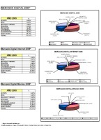 Market Share Mercado Digital 2009